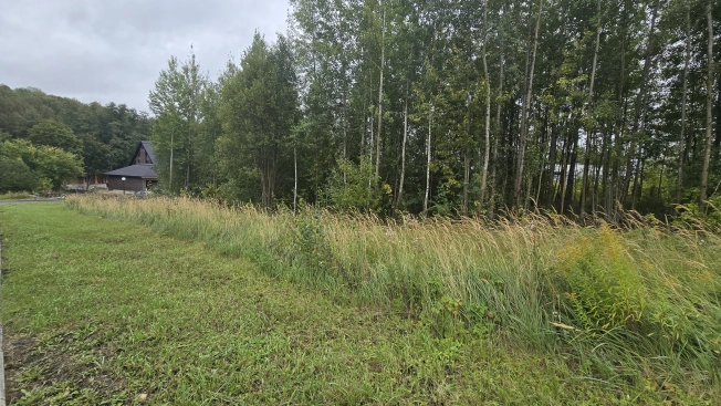 Купить земельный участок в Пензе. Вариант № 3468115, 2, площадь -  квм, цена 8100000 рублей