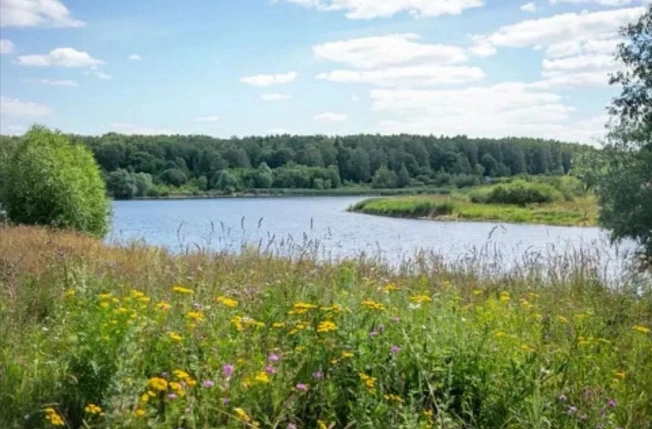 Купить дачу в Москве. Вариант № 8616696, 12, площадь -  квм, цена 2900000 рублей