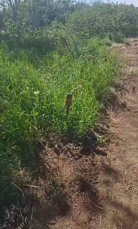 Купить земельный участок в Республике Крым. Вариант № 42238, 16, площадь -  квм, цена 580000 рублей