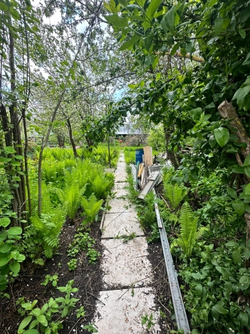 Купить дачу в Нижегородской области. Вариант № 48031, 7, площадь -  квм, цена 1850000 рублей