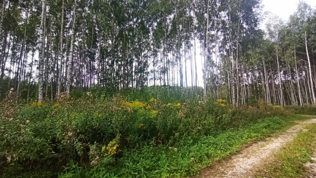 Купить земельный участок на улице Селецкий Вал в Владимире. Вариант № 5346, 1, площадь -  квм, цена 960000 рублей