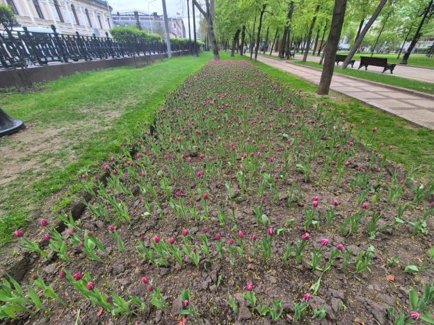Купить квартиру в Москве. Вариант № 39428, 29, площадь - квм, цена 120000000.0000 рублей