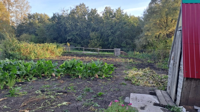 Купить дом на улице Старая Михайловка в Республике Башкортостан. Вариант № 13177, 10, площадь -  квм, цена 1200000 рублей