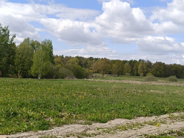 Купить земельный участок на улице Брусничная в Собинке. Вариант № 6380, 0, площадь -  квм, цена 1250000 рублей