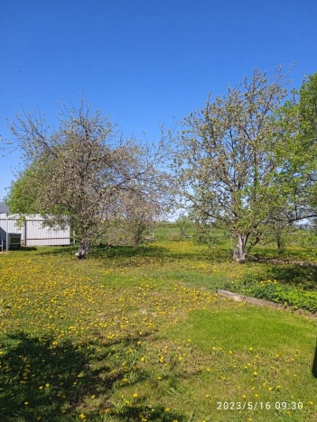 Купить земельный участок в Вязниках. Вариант № 2330, 25, площадь -  квм, цена 1925000 рублей