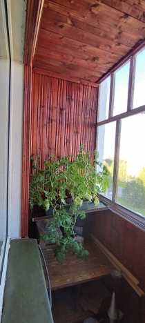 Купить квартиру в Республике Татарстан (татарстан). Вариант № 27519, 28, площадь -  квм, цена 11000000 рублей