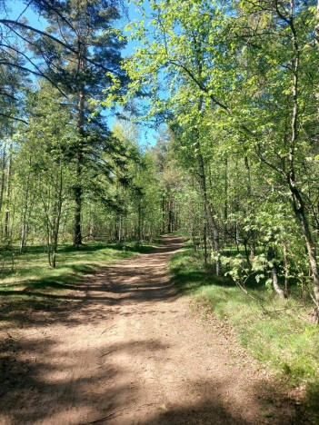 Купить земельный участок в Республике Карелия. Вариант № 23389, 5, площадь -  квм, цена 5407400 рублей