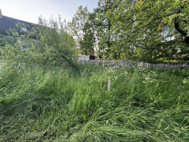 Купить земельный участок в Санкт-Петербурге. Вариант № 2012012, 1, площадь -  квм, цена 6975000 рублей