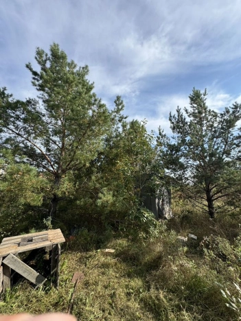 Купить дом в Всеволожске. Вариант № 1040657, 7, площадь -  квм, цена 17500000 рублей