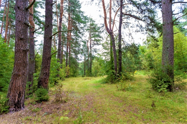 Купить земельный участок в Владимире. Вариант № 1435, 13, площадь -  квм, цена 11500000 рублей