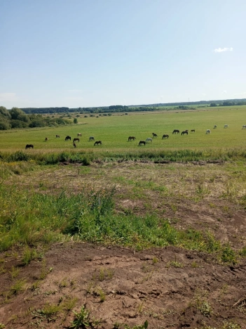 Купить дом в районе Фрунзенский в Владимире. Вариант № 1402470, 20, площадь -  квм, цена 28000000 рублей