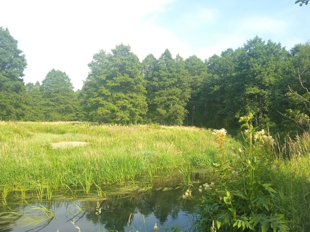 Купить земельный участок в Коврове. Вариант № 60462, 9, площадь -  квм, цена 1750000 рублей