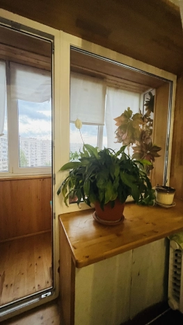 Купить квартиру на вторичке в Уфе. Вариант № 54442, 15, площадь -  квм, цена 6999000 рублей