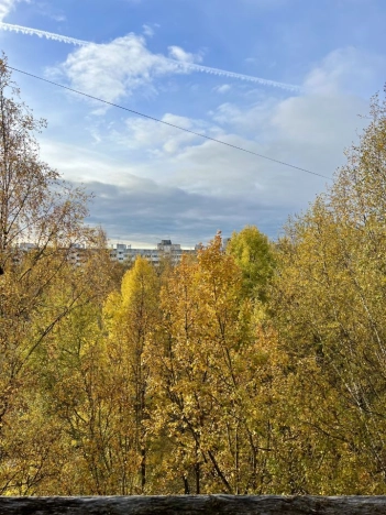 Купить двухкомнатную квартиру у метро Девяткино в Санкт-Петербурге. Вариант № 8052345, 8, площадь -  квм, цена 7600000 рублей