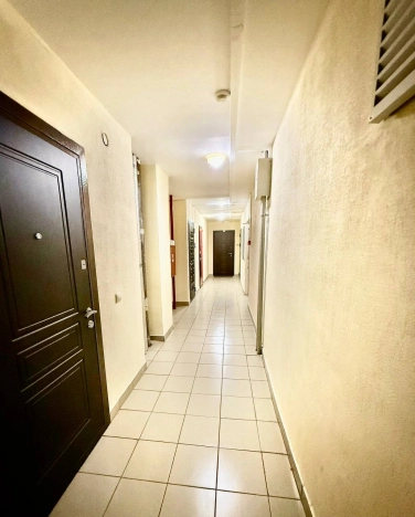 Купить Студию на улице проспект Римского-Корсакова в Санкт-Петербурге. Вариант № 6767958, 8, площадь - квм, цена 6200000 рублей