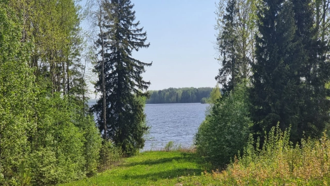 Купить земельный участок в Вологодской области. Вариант № 32623, 0, площадь -  квм, цена 400000 рублей