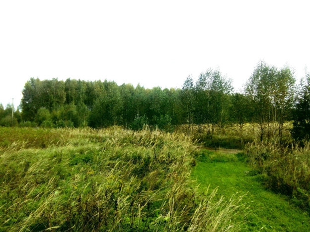 Купить земельный участок в Владимире. Вариант № 2604572, 1, площадь -  квм, цена 499000 рублей