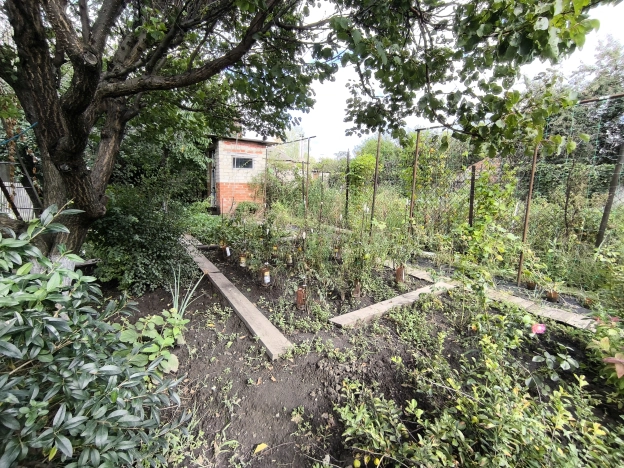 . Вариант № 2846141, 38, площадь - 63.6 квм, цена 5500000 рублей