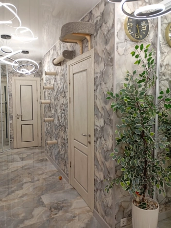 Купить четырехкомнатную квартиру в Химках. Вариант № 44068, 4, площадь -  квм, цена 28800000 рублей