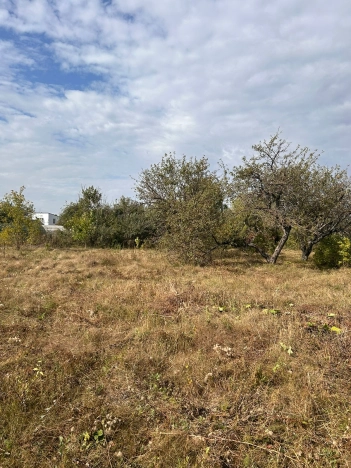 Купить земельный участок в Воронеже. Вариант № 13863, 7, площадь -  квм, цена 5500000 рублей