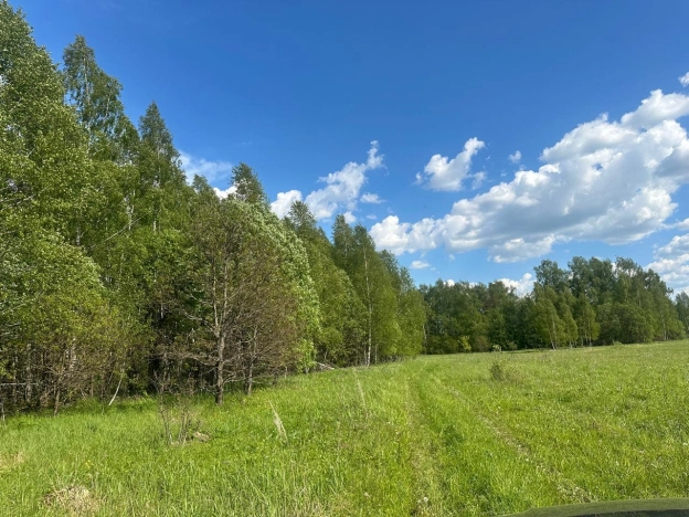 Купить земельный участок в Тульской области. Вариант № 8312, 3, площадь -  квм, цена 2100000 рублей