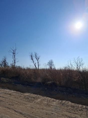 Купить земельный участок в Уссурийске. Вариант № 9431262, 5, площадь -  квм, цена 950000 рублей