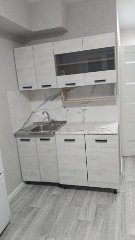 Снять Студию в Новосибирске. Вариант № 9609817, 2, площадь -  квм, цена 18000 рублей