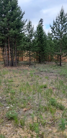 Купить дом в Микрорайоне Южный, Улан-Удэ в Улан-Удэ. Вариант № 50911, 6, площадь -  квм, цена 2300000 рублей