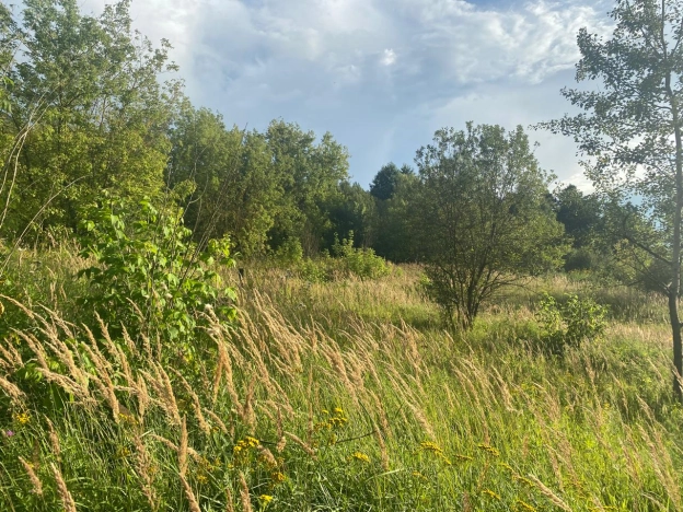 Купить земельный участок в Калуге. Вариант № 2005176, 1, площадь -  квм, цена 1790000 рублей