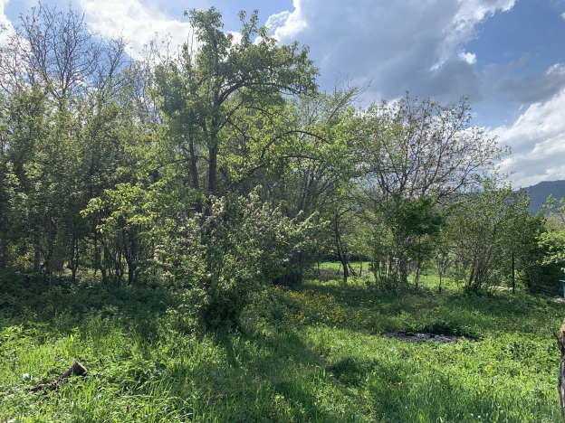 Купить земельный участок в Республике Адыгея (адыгея). Вариант № 35198, 3, площадь -  квм, цена 5000000 рублей