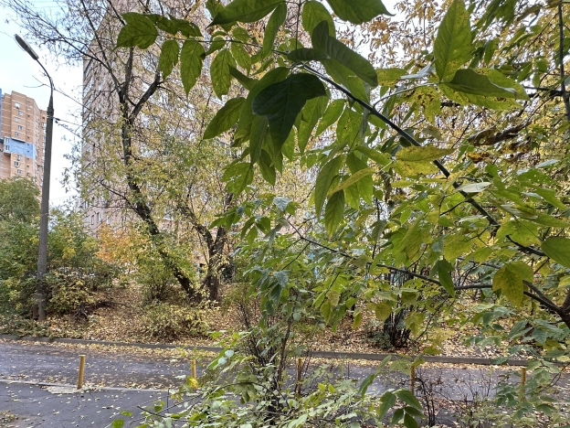 Купить квартиру в Мытищах. Вариант № 6765942, 12, площадь -  квм, цена 8800000 рублей