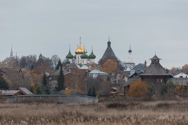 Купить земельный участок на улице Вишнёвая в Суздале. Вариант № 9418, 1, площадь -  квм, цена 6990000 рублей