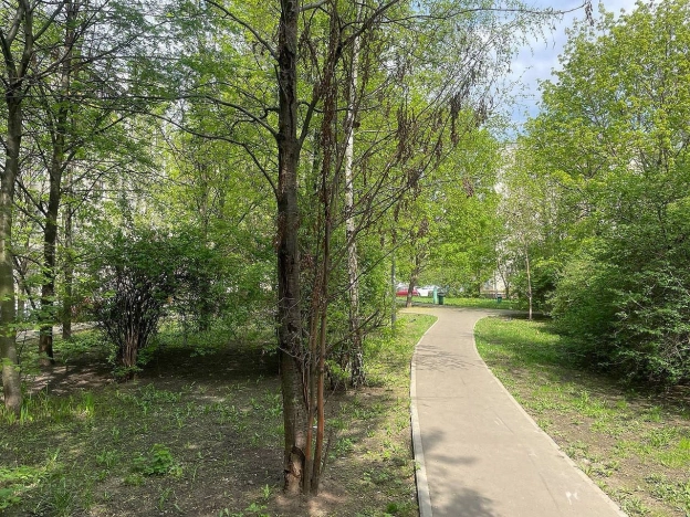 Купить квартиру в Москве. Вариант № 8431944, 17, площадь -  квм, цена 10700000 рублей