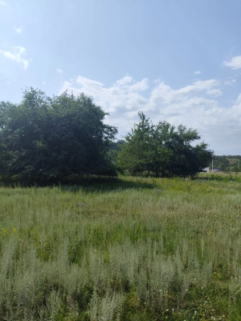 Купить земельный участок в Воронеже. Вариант № 15677, 2, площадь -  квм, цена 2000000 рублей