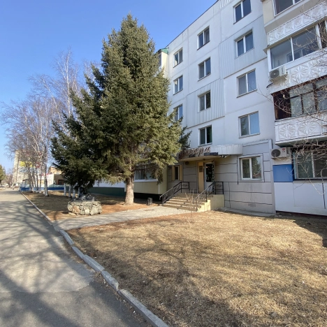 Купить коммерческую недвижимость в Арсеньеве. Вариант № 30596, 0, площадь -  квм, цена 18800000 рублей