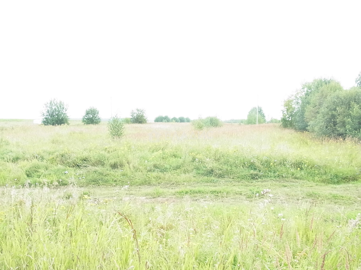 Photo https://36000382-a1c2-4a8a-a109-3fc3bfc73cf7.selcdn.net/App/Entity/ObjectRealty/ObjectRealty/DF/367900fe-aeff-4496-a560-2117e7fdf015/BqyinM5EfwGJGgtEDMORrqxiq84ssSeE0W0dWBoi.jpg.compressed.webp
