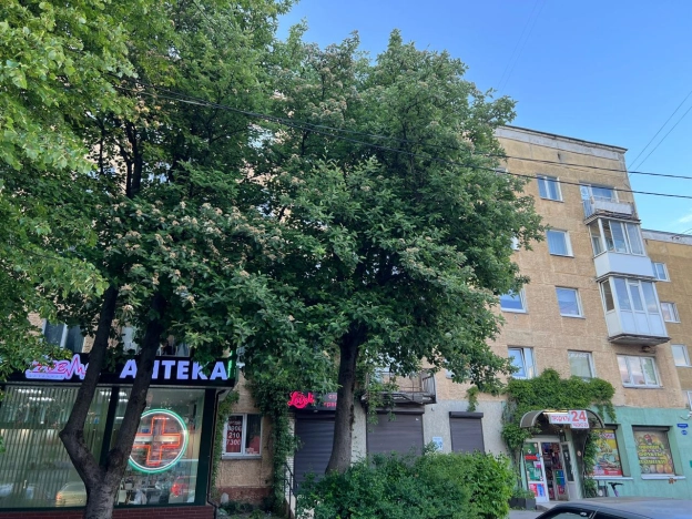 . Вариант № 44886, 17, площадь - 56.5 квм, цена 7300000 рублей