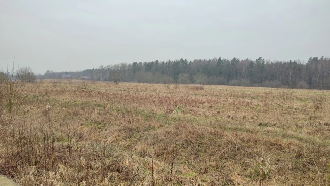 Купить земельный участок в Калининграде. Вариант № 25610, 3, площадь - квм, цена 4500000 рублей