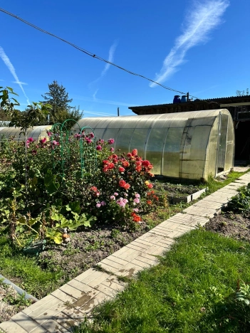 Купить дачу в Владимирской области. Вариант № 7857140, 1, площадь -  квм, цена 1650000 рублей