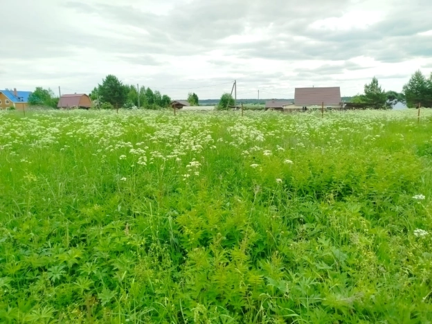 Купить земельный участок в Вологодской области. Вариант № 53369, 7, площадь -  квм, цена 2100000 рублей