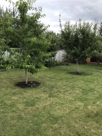 Купить дом в Белгороде. Вариант № 10063765, 18, площадь -  квм, цена 16250000 рублей