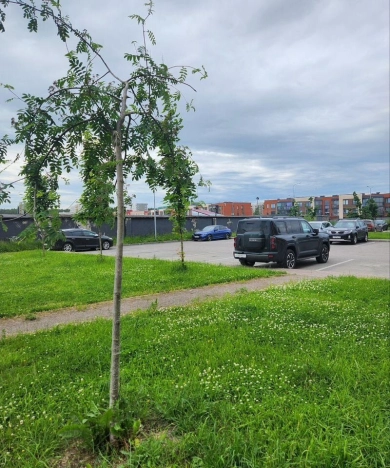 Купить двухкомнатную квартиру у метро Девяткино в Санкт-Петербурге. Вариант № 1646392, 21, площадь -  квм, цена 13700000 рублей