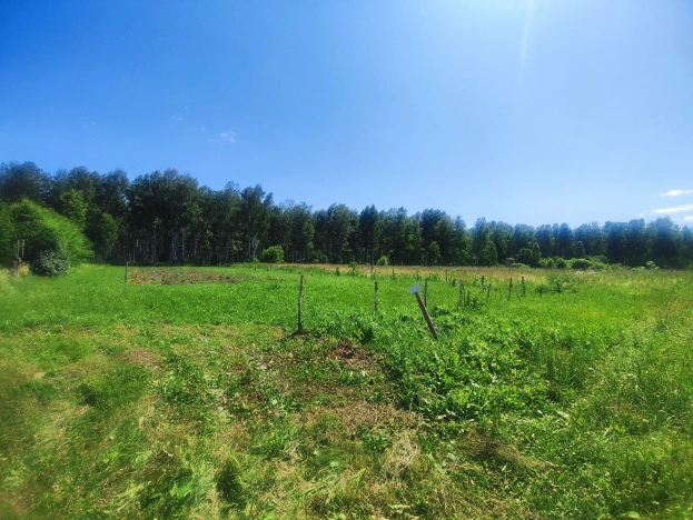 Купить земельный участок в Тюменской области. Вариант № 52255, 18, площадь -  квм, цена 280000 рублей