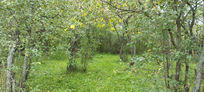 Купить дом на улице Кирова в Нижегородской области. Вариант № 58060, 22, площадь -  квм, цена 990000 рублей