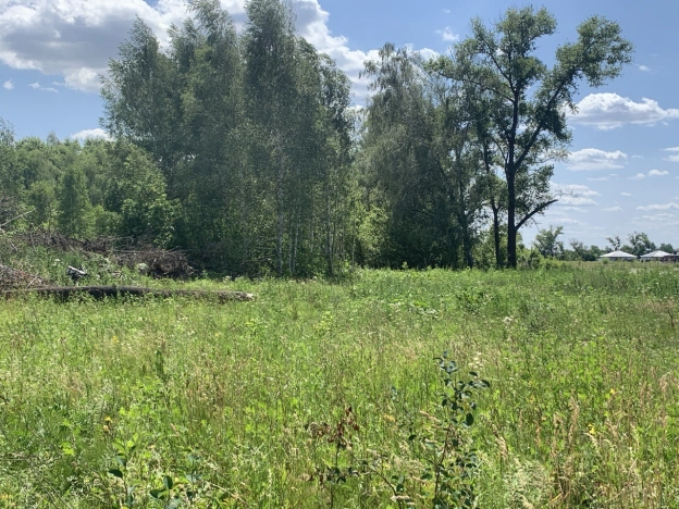 Купить земельный участок в Воронеже. Вариант № 19971, 0, площадь -  квм, цена 1110000 рублей