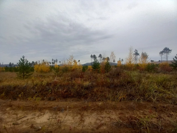 Купить земельный участок в Чите. Вариант № 5312235, 1, площадь -  квм, цена 5000000 рублей