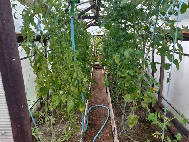 Купить дачу в Тюменской области. Вариант № 8099541, 2, площадь -  квм, цена 1200000 рублей