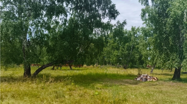 Купить земельный участок в Новосибирске. Вариант № 2011806, 1, площадь -  квм, цена 1100000 рублей