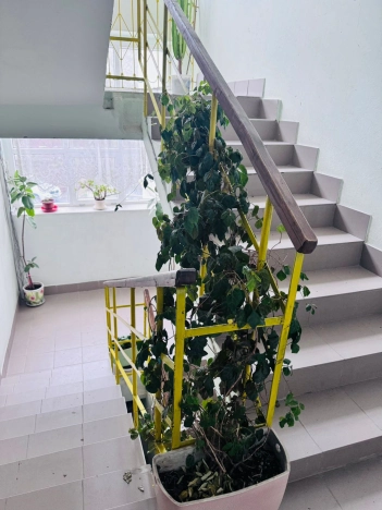 Снять квартиру в Керчи. Вариант № 2798292, 16, площадь -  квм, цена 45000 рублей