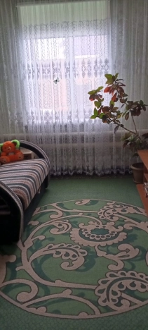 Купить дом в Алтайском крае. Вариант № 9304069, 11, площадь -  квм, цена 9000000.0000 рублей